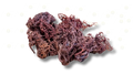 Oceanic Essence- Sea Moss - Salus Moda