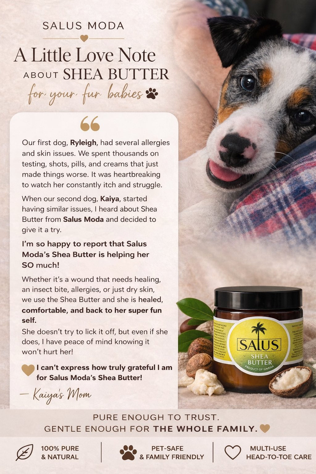 Our first dog had severe allergies… Salus Moda