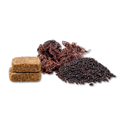 The Natural Trio - Salus Moda