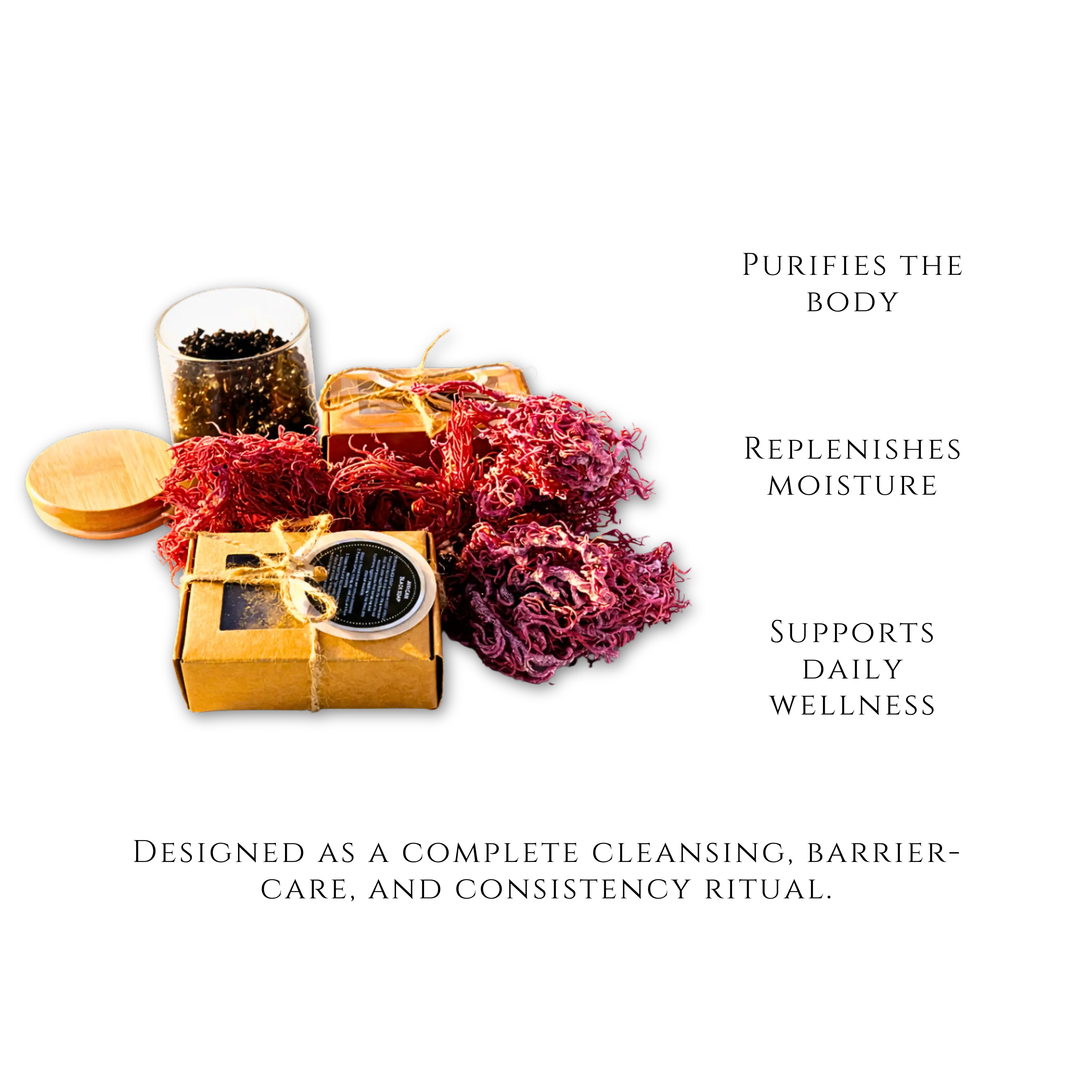 The Natural Trio - Salus Moda