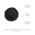 Dried Elderberries-Seasonal Wellness - Salus Moda