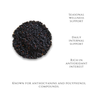 Dried Elderberries-Seasonal Wellness - Salus Moda