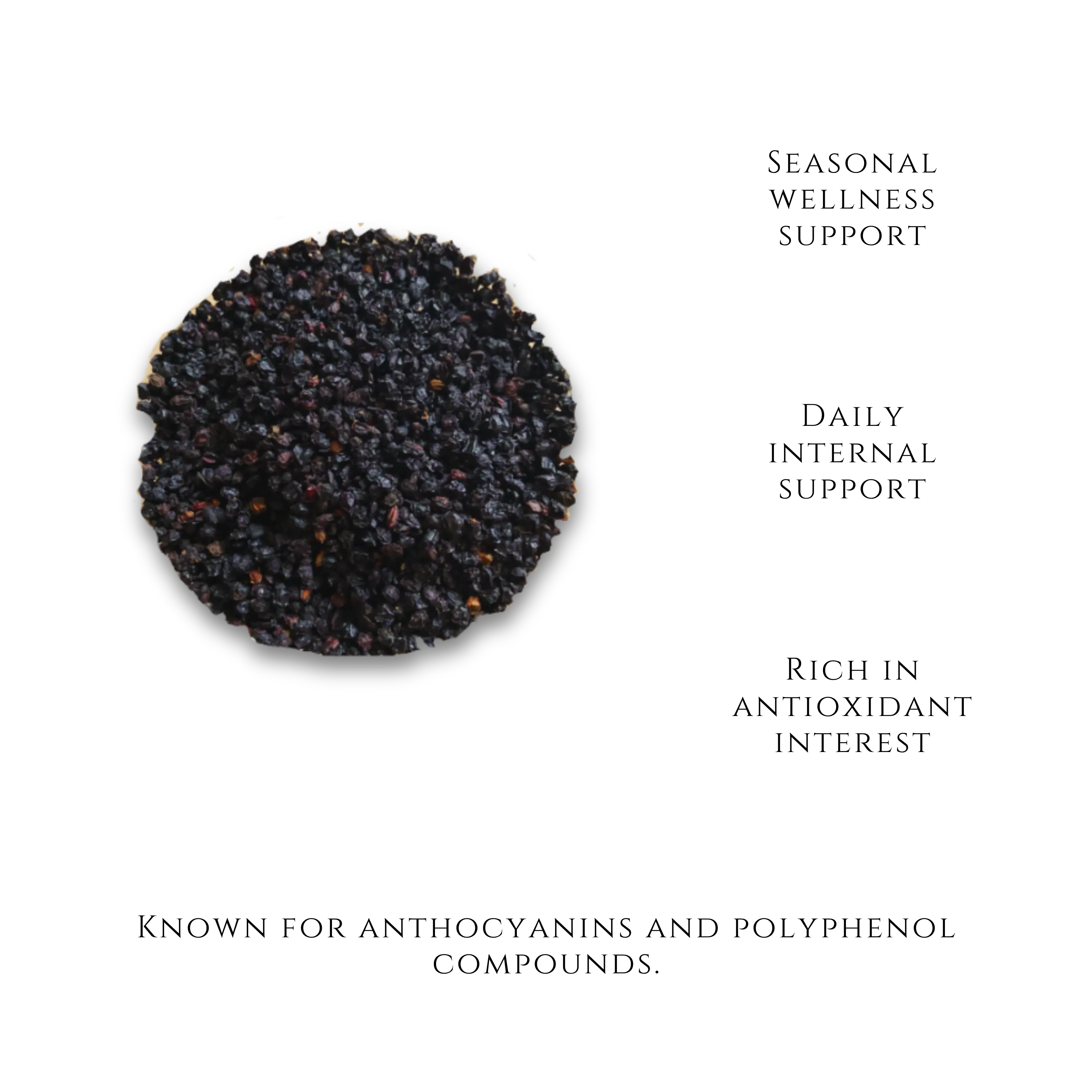 Dried Elderberries-Seasonal Wellness - Salus Moda