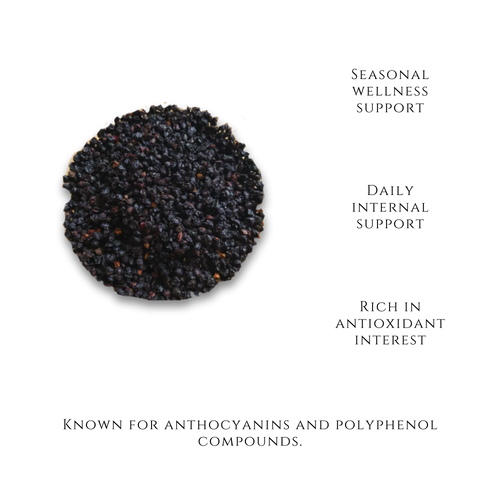 Dried Elderberries-Seasonal Wellness - Salus Moda